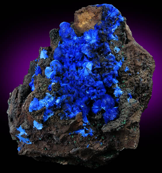Azurite from Copper Queen Mine, Bisbee, Warren District, Cochise County, Arizona