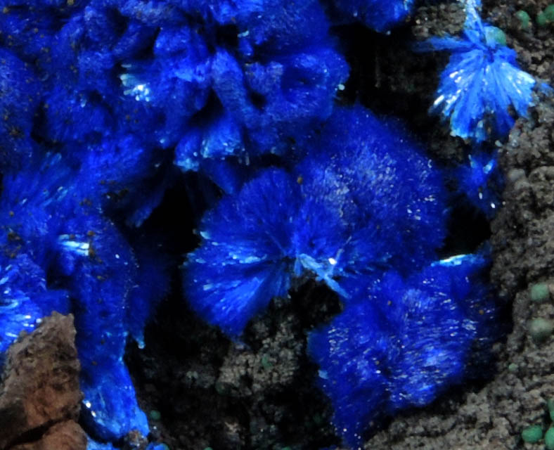 Azurite from Copper Queen Mine, Bisbee, Warren District, Cochise County, Arizona