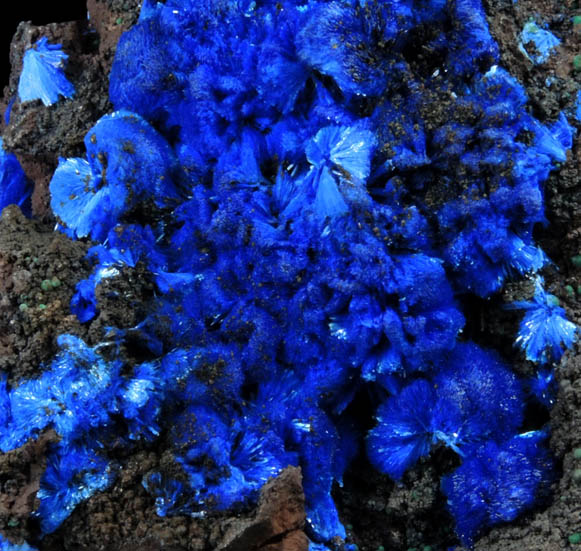 Azurite from Copper Queen Mine, Bisbee, Warren District, Cochise County, Arizona