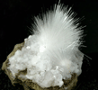 Mesolite on Analcime from Skookumchuck Dam, Tenino, Thurston County, Washington