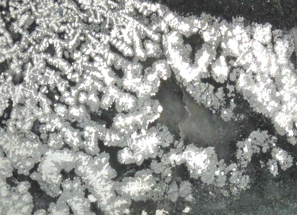 Silver (naturally crystallized native silver) from Siscoe Mine, Gowganda, Ontario, Canada