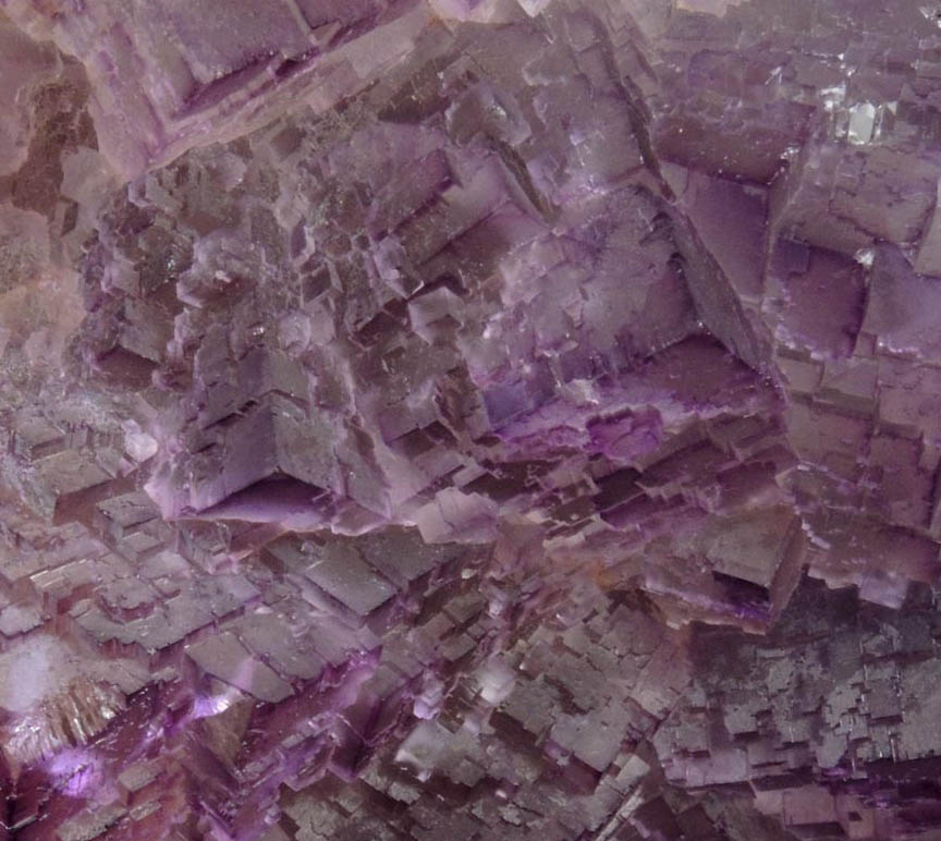 Fluorite from Mina el Tule, Melchor Mzquiz, Coahuila, Mexico