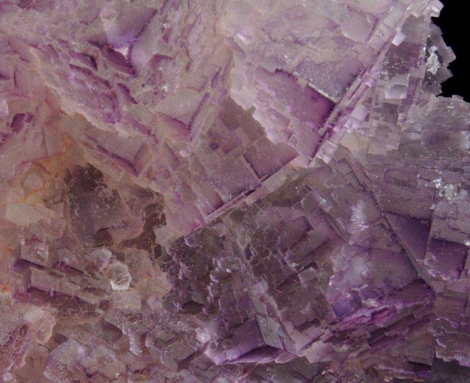 Fluorite from Mina el Tule, Melchor Mzquiz, Coahuila, Mexico