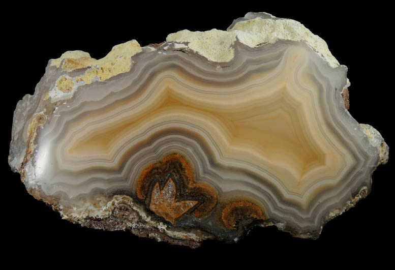 Quartz var. Laguna Agate from Ojo Laguna, Ahumada, Chihuahua, Mexico