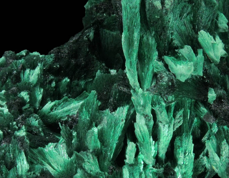 Malachite (fibrous) from Shilu Mine, Yangchun, Guandong, China