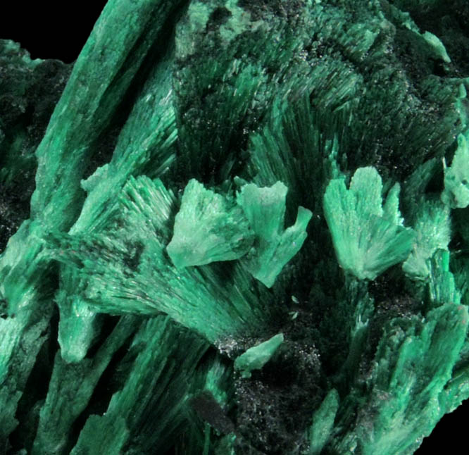 Malachite (fibrous) from Shilu Mine, Yangchun, Guandong, China
