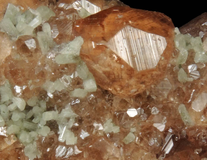 Grossular Garnet with Diopside from Jeffrey Mine, Asbestos, Qubec, Canada