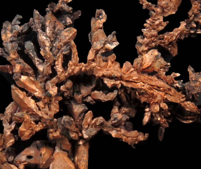 Copper (naturally crystallized native copper) from Bou Nahas, Oumjrane, Alnif, Errachidia, Morocco