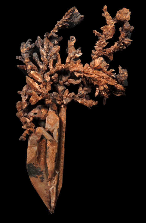 Copper (naturally crystallized native copper) from Bou Nahas, Oumjrane, Alnif, Errachidia, Morocco