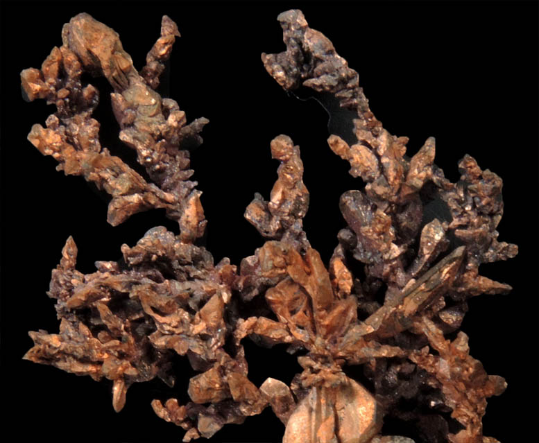 Copper (naturally crystallized native copper) from Bou Nahas, Oumjrane, Alnif, Errachidia, Morocco