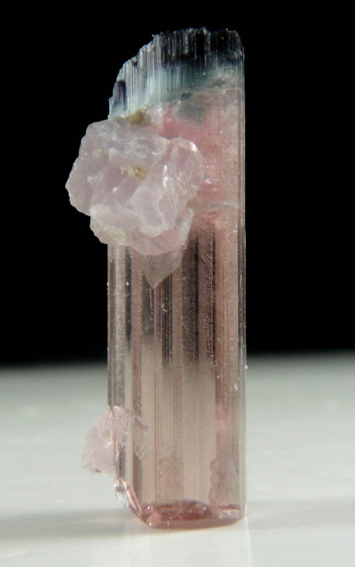 Elbaite var. Rubellite Tourmaline with Lepidolite from Mount Mica Quarry, Paris, Oxford County, Maine