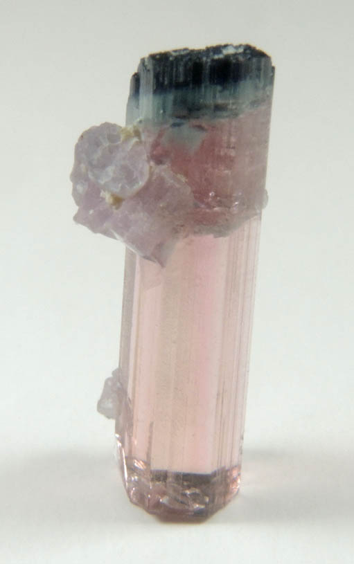 Elbaite var. Rubellite Tourmaline with Lepidolite from Mount Mica Quarry, Paris, Oxford County, Maine