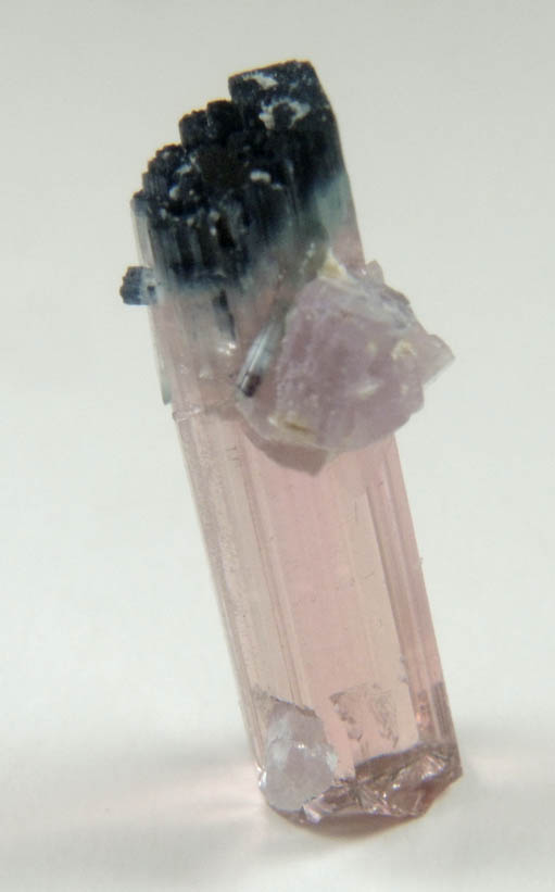 Elbaite var. Rubellite Tourmaline with Lepidolite from Mount Mica Quarry, Paris, Oxford County, Maine