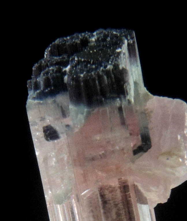 Elbaite var. Rubellite Tourmaline with Lepidolite from Mount Mica Quarry, Paris, Oxford County, Maine