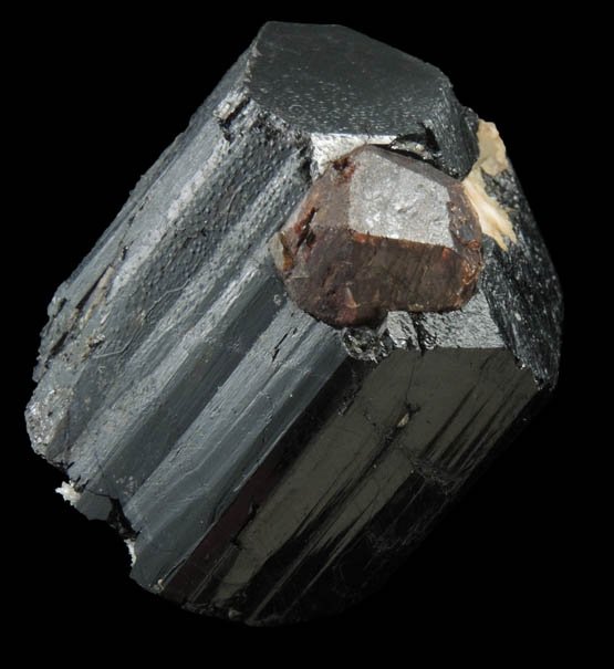 Schorl Tourmaline with Almandine Garnet from Fisher Quarry, Topsham, Sagadahoc County, Maine