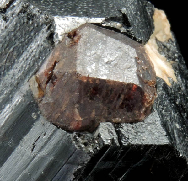 Schorl Tourmaline with Almandine Garnet from Fisher Quarry, Topsham, Sagadahoc County, Maine