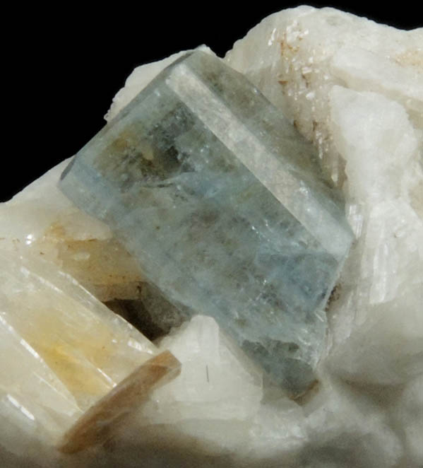 Fluorapatite on Albite with Muscovite from Emmons Quarry, southeastern slope of Uncle Tom Mountain,  Greenwood, Oxford County, Maine