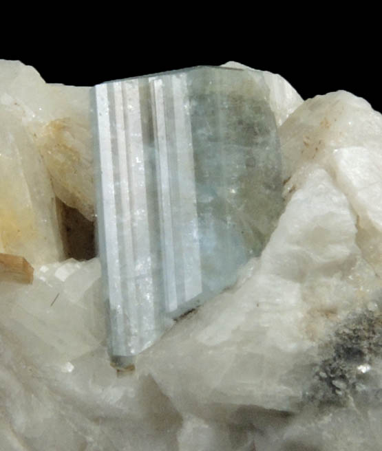 Fluorapatite on Albite with Muscovite from Emmons Quarry, southeastern slope of Uncle Tom Mountain,  Greenwood, Oxford County, Maine