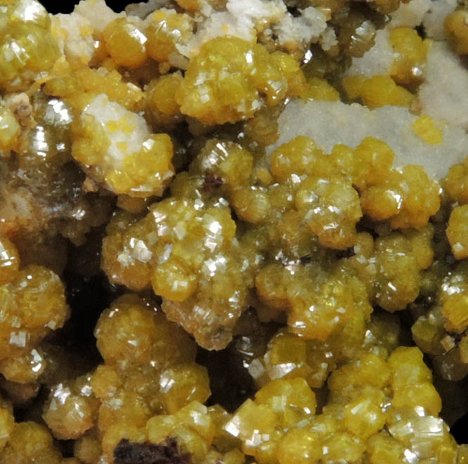 Pyromorphite from Bunker Hill Mine, Coeur d'Alene District, Shoshone County, Idaho