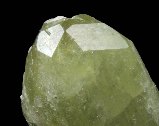 Vesuvianite from Jeffrey Mine, Asbestos, Qubec, Canada