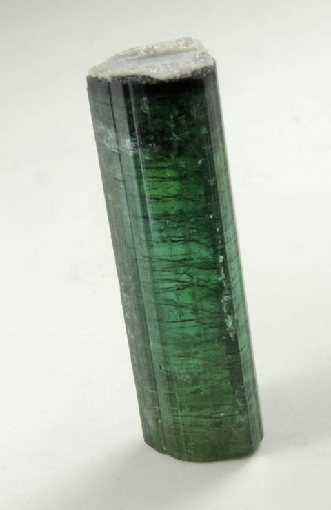 Elbaite Tourmaline with Muscovite from Mount Mica Quarry, Paris, Oxford County, Maine