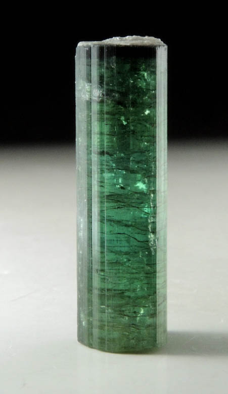 Elbaite Tourmaline with Muscovite from Mount Mica Quarry, Paris, Oxford County, Maine