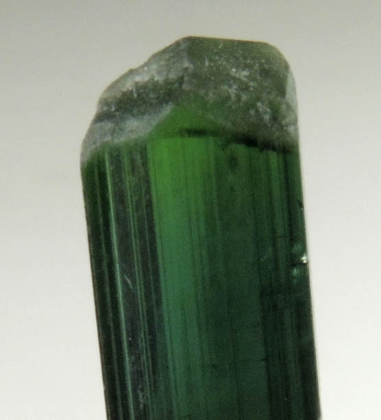 Elbaite Tourmaline from Mount Mica Quarry, Paris, Oxford County, Maine