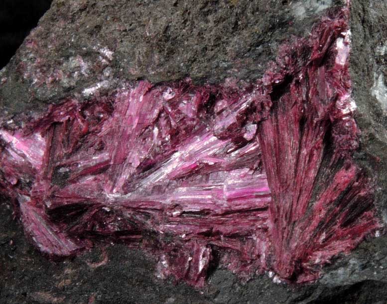 Erythrite from Bou Azzer District, Anti-Atlas Mountains, Tazenakht, Ouarzazate, Morocco (Type Locality for Erythrite)