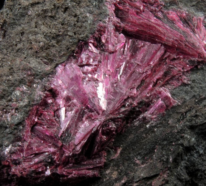 Erythrite from Bou Azzer District, Anti-Atlas Mountains, Tazenakht, Ouarzazate, Morocco (Type Locality for Erythrite)