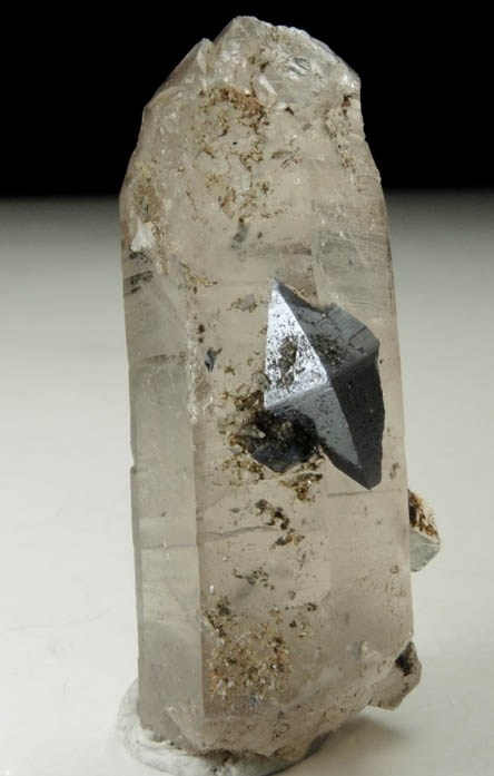 Anatase on Quartz from Hardangervidda, Ullensvang Statsallmenning, Hordaland, Norway