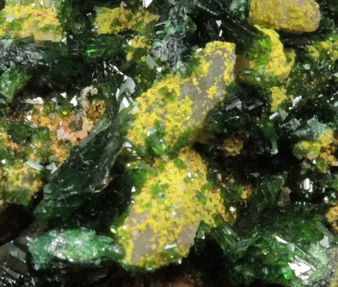 Adamite var. Cuproadamite with Ferrilotharmeyerite from Tsumeb Mine, Otavi-Bergland District, Oshikoto, Namibia (Type Locality for Ferrilotharmeyerite)