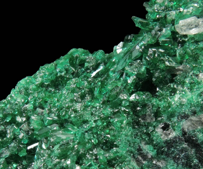 Zincolivenite from Tsumeb Mine, Otavi-Bergland District, Oshikoto, Namibia