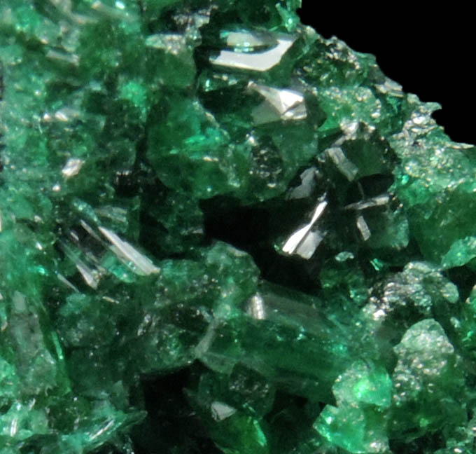 Zincolivenite from Tsumeb Mine, Otavi-Bergland District, Oshikoto, Namibia