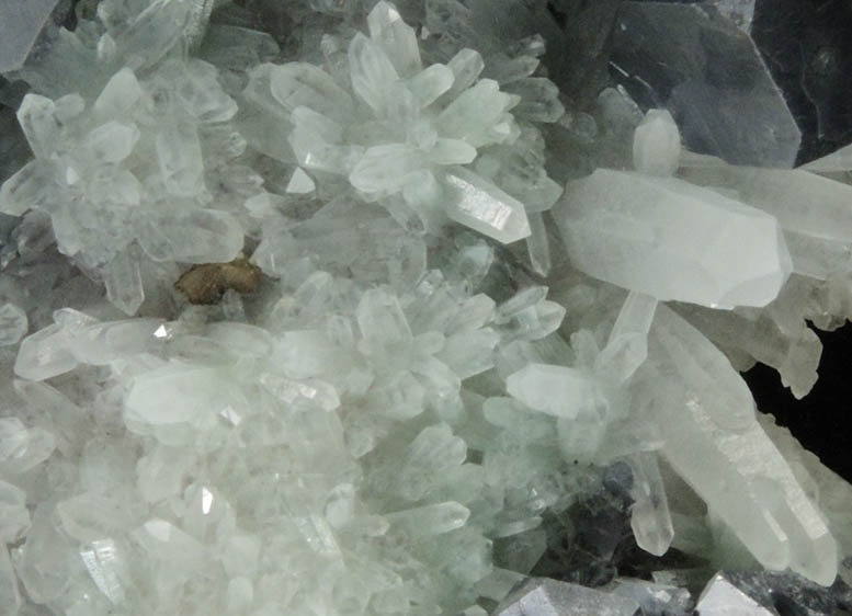 Galena on Quartz from Gyudyurska Mine, Zlatograd, Smolyan Oblast, Bulgaria