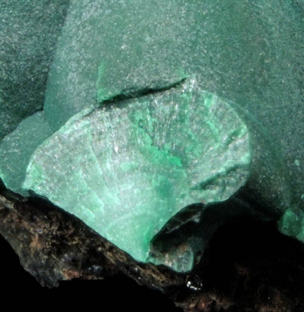 Malachite from Tsumeb Mine, Otavi-Bergland District, Oshikoto, Namibia