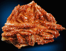 Vanadinite on Barite from Mibladen, Haute Moulouya Basin, Zeida-Aouli-Mibladen belt, Midelt Province, Morocco