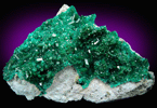 Dioptase from Reneville, Kindanba District, Pool Department, Republic of Congo