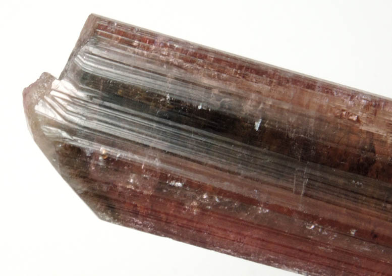 Elbaite var. Rubellite Tourmaline from Alto Ligonha District, Zambezia, Mozambique