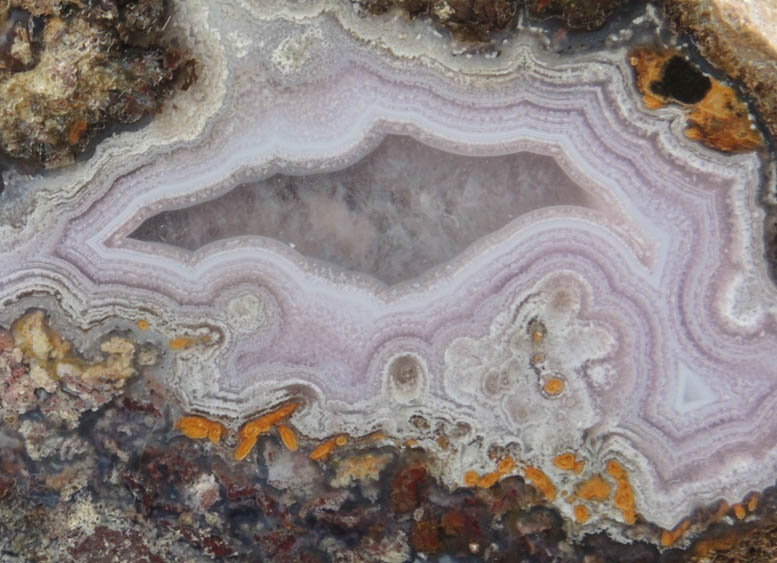 Quartz var. Laguna Agate from Ojo Laguna, Ahumada, Chihuahua, Mexico