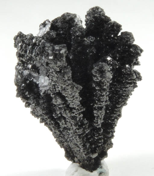 Magnetite from Unknown (Germany?)