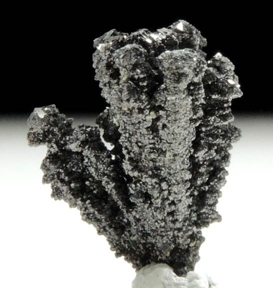 Magnetite from Unknown (Germany?)