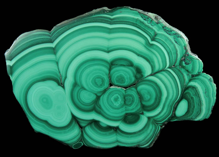 Malachite (concentric growth malachite polished slice) from Kolwezi Mining District, 240 km WNW of  Lubumbashi, Katanga Copperbelt, Lualaba Province, Democratic Republic of the Congo