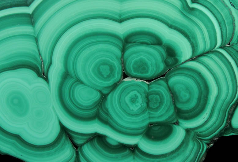 Malachite (concentric growth malachite polished slice) from Kolwezi Mining District, 240 km WNW of  Lubumbashi, Katanga Copperbelt, Lualaba Province, Democratic Republic of the Congo