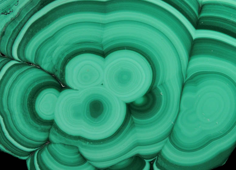 Malachite (concentric growth malachite polished slice) from Kolwezi Mining District, 240 km WNW of  Lubumbashi, Katanga Copperbelt, Lualaba Province, Democratic Republic of the Congo