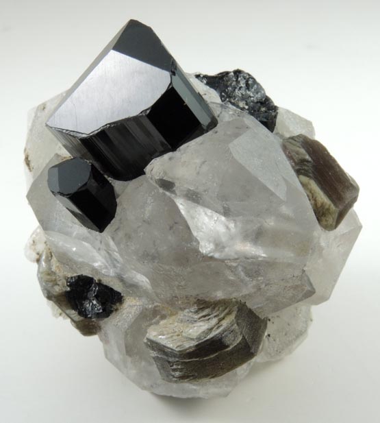 Schorl Tourmaline, Quartz, Muscovite from Namlook, Braldu Valley, Baltistan, Gilgit-Baltistan, Pakistan