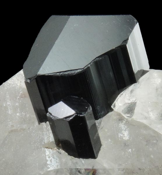 Schorl Tourmaline, Quartz, Muscovite from Namlook, Braldu Valley, Baltistan, Gilgit-Baltistan, Pakistan