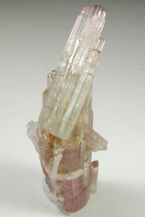 Elbaite Tourmaline with Albite from Minas Gerais, Brazil