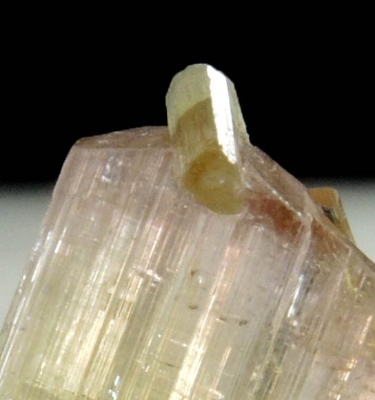 Elbaite Tourmaline from Kamdesh District, Nuristan Province, Afghanistan