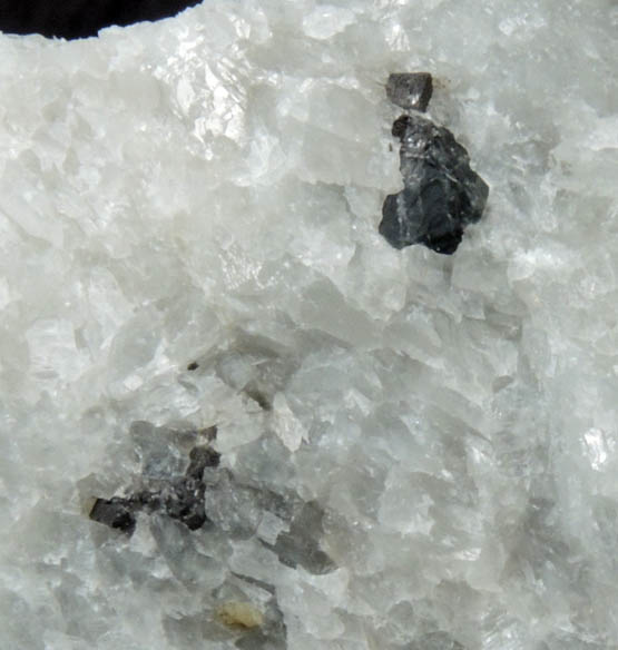 Warwickite with Chondrodite in Franklin Marble from Warwickite locality, Amity, Warwick Township, Orange County, New York (Type Locality for Warwickite)