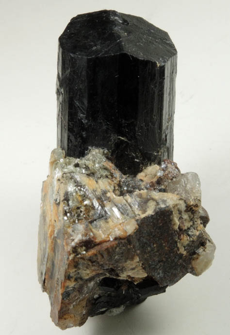 Schorl Tourmaline from Morgan Pit, above the Harvard Quarry, Noyes Mountain, Greenwood, Oxford County, Maine